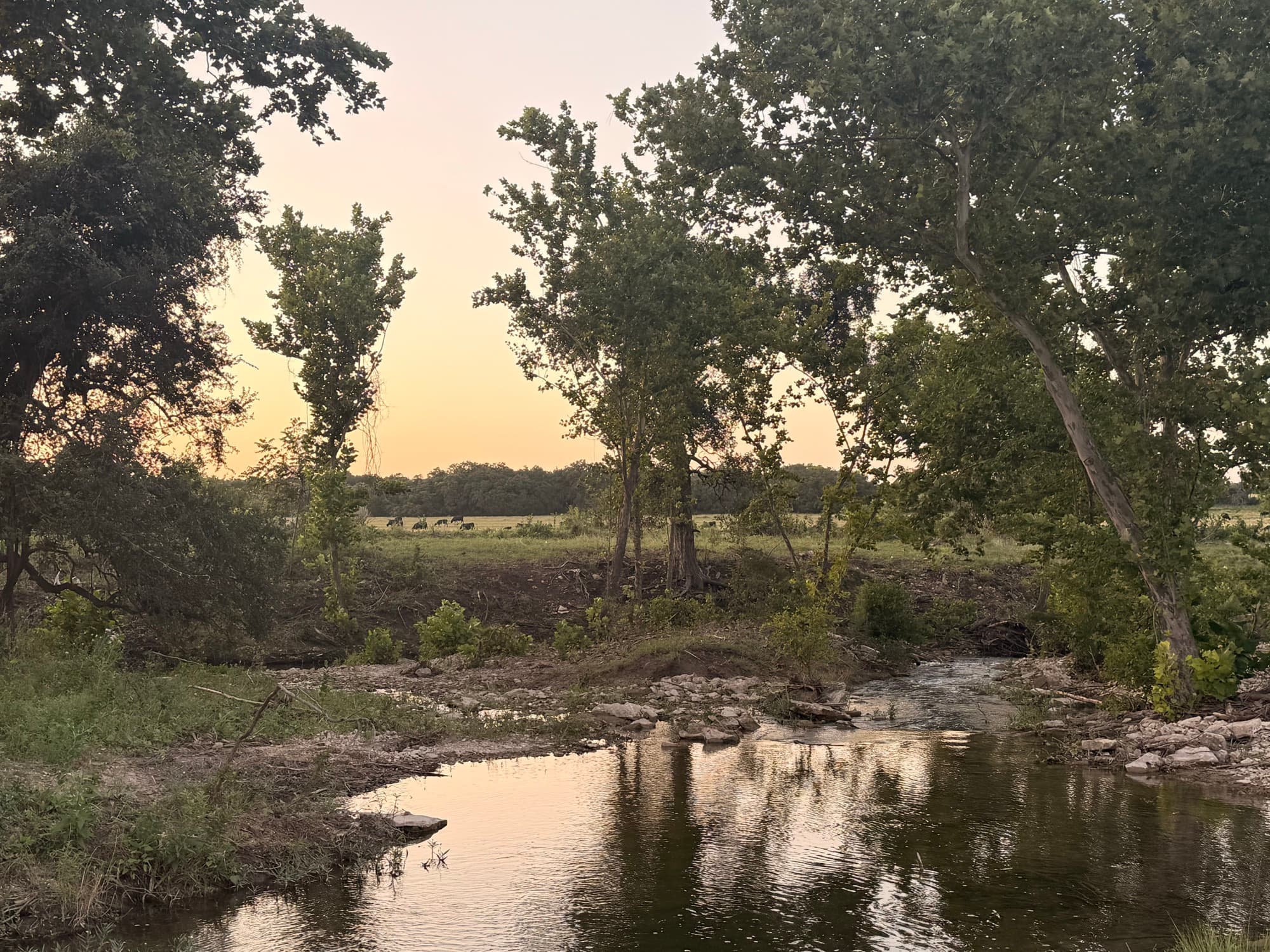 The creek at sunset