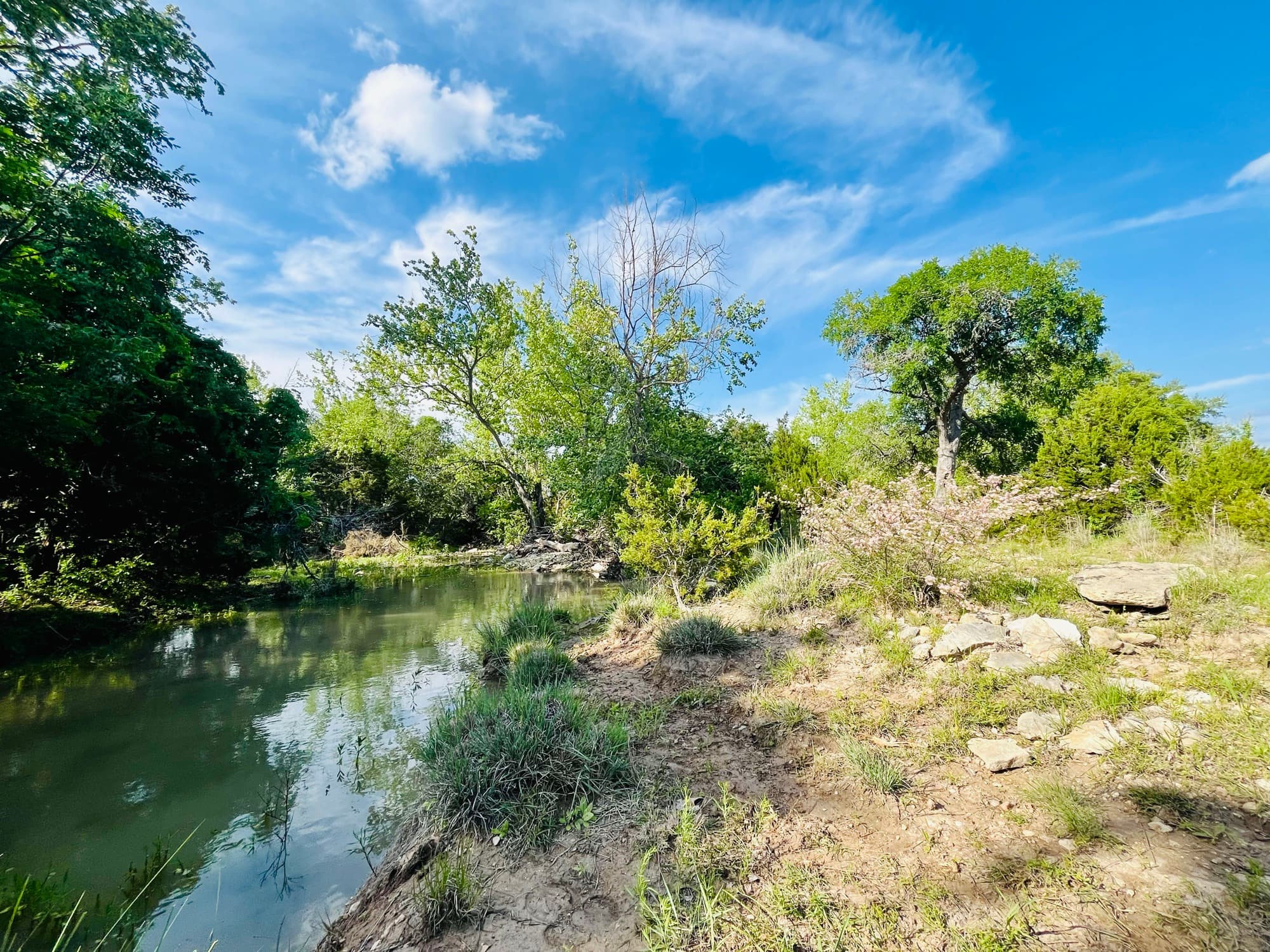 The creek in daylight
