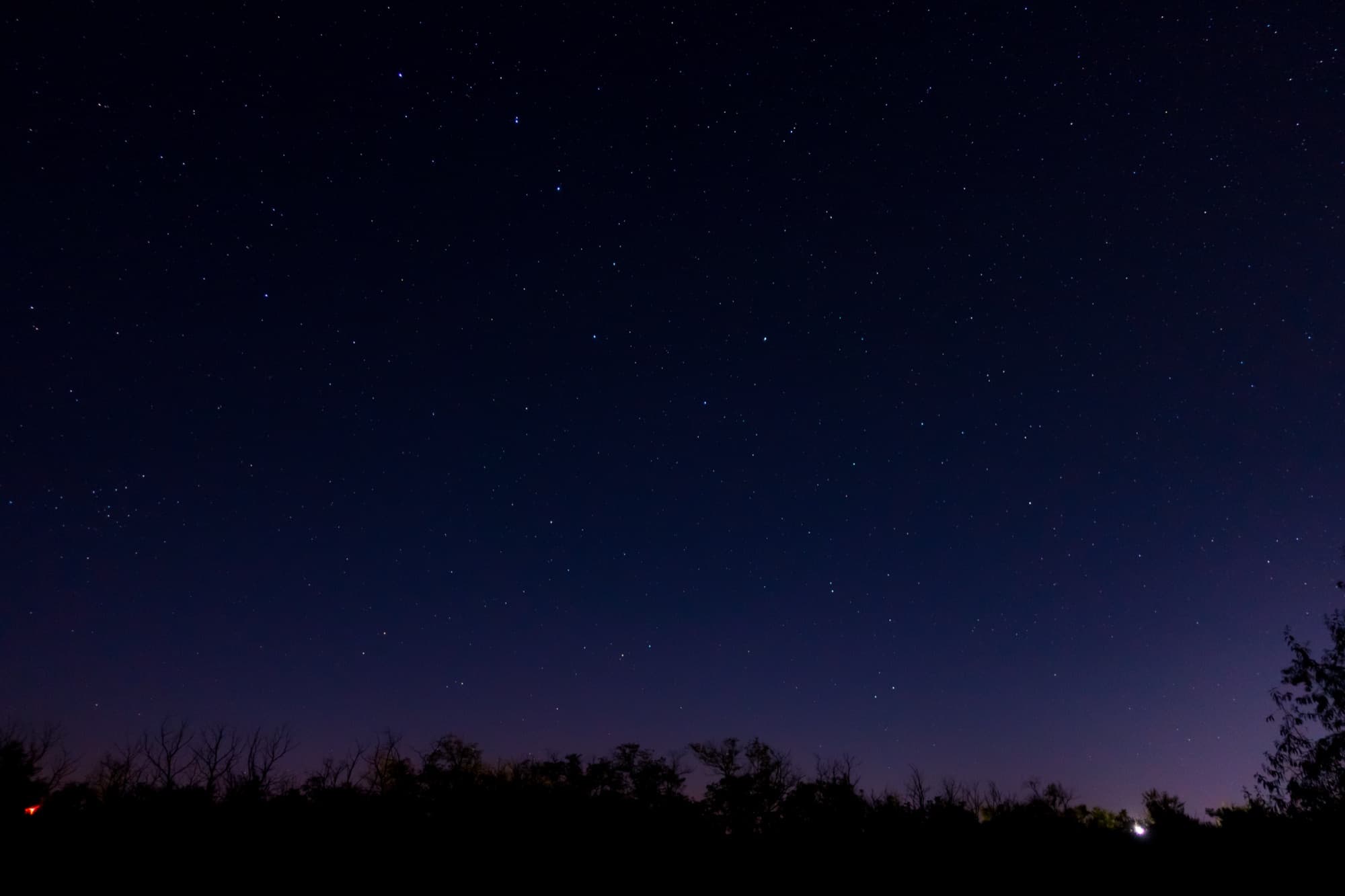 A star-filled night sky over the tree line, with the last of the sunset on the horizon